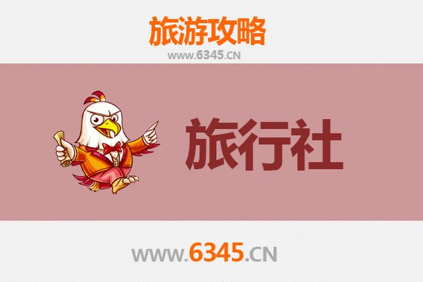 保定蠡县旅行社精选推荐：专业地接与深度游攻略